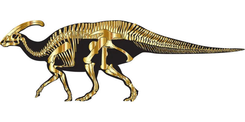 Dinosaur Dinosaur skeleton Fossil Stickdatei – Kinder