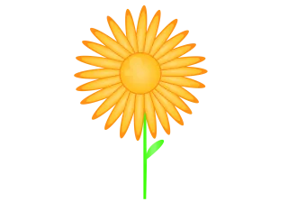 Flower Flower wallpaper Sunflower Stickdatei