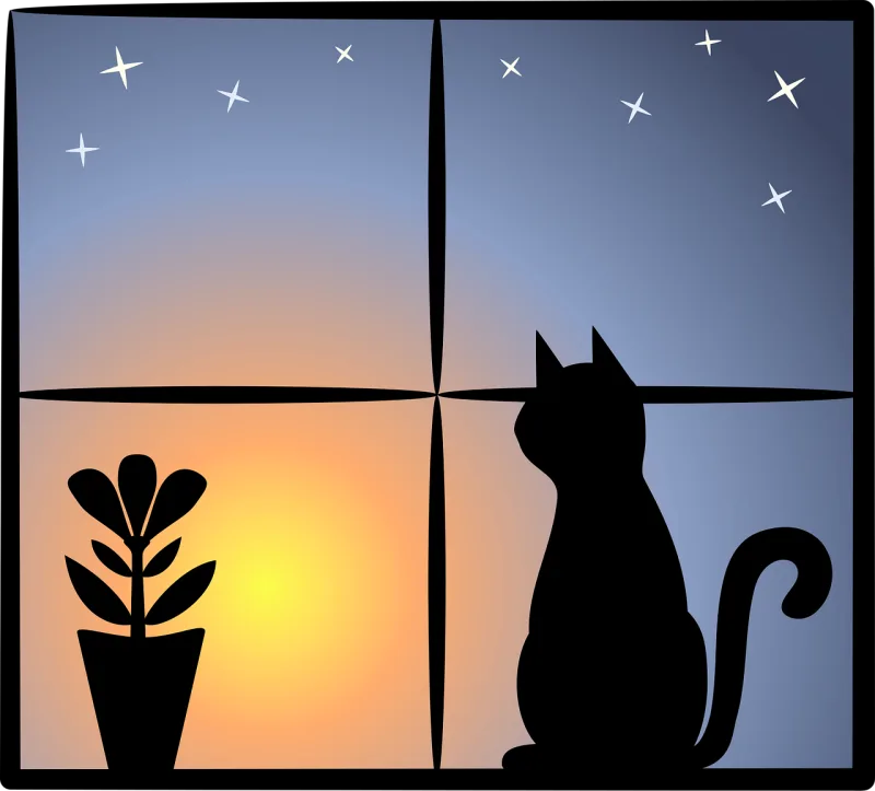 Cat Pet Nature Stickdatei – Natur