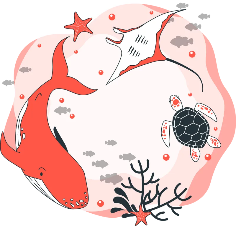 Whale Ray Turtle Stickdatei – Tiere