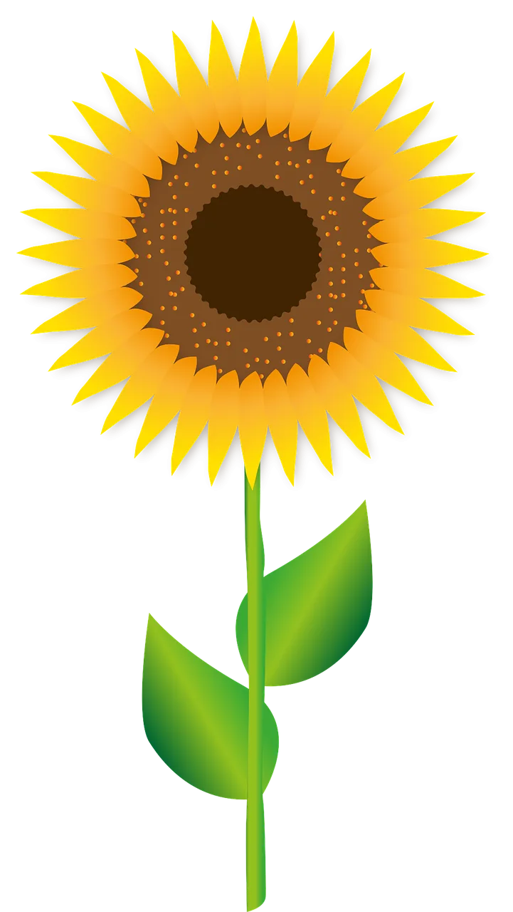 Sunflower Flower Blossom Stickdatei – Blumen