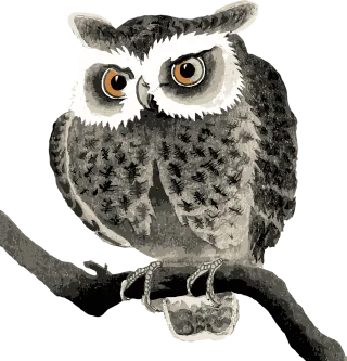 Owl Bird Sitting Stickdatei