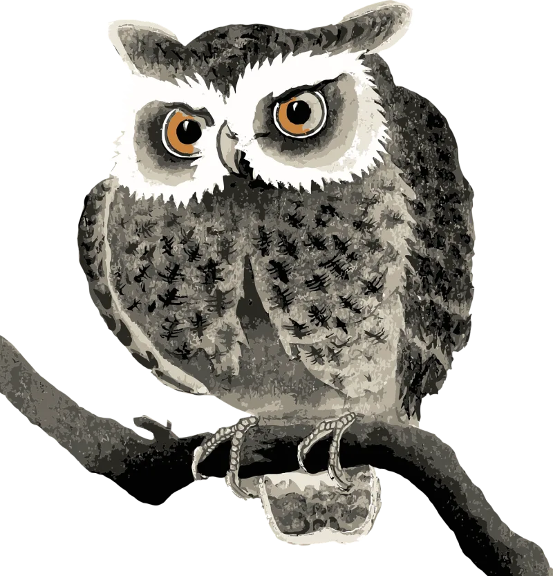 Owl Bird Sitting Stickdatei – Tiere