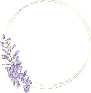 Frame Decorate Copy space Stickdatei