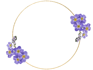 Frame Flower wallpaper Flowers Stickdatei