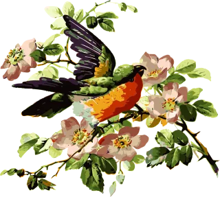 Bird Parrot Rose hip Stickdatei – Blumen
