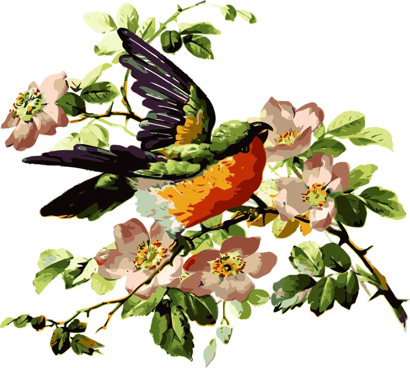 Bird Parrot Rose hip Stickdatei – Blumen