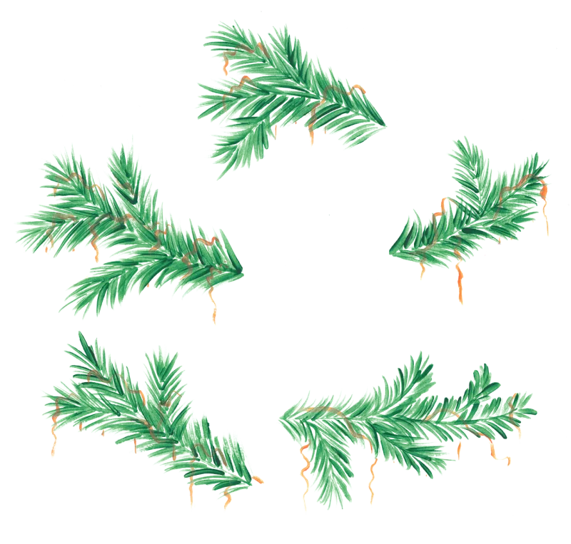 Watercolor Watercolor painting Branch Stickdatei – Weihnachten