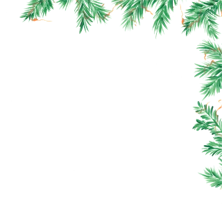 Christmas border Christmas cards Christmas Stickdatei