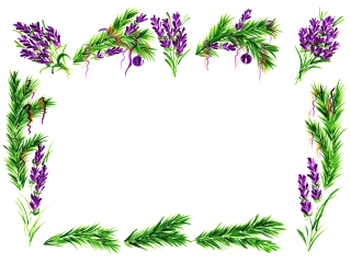 Lavender Spruce needles Flower wallpaper Stickdatei