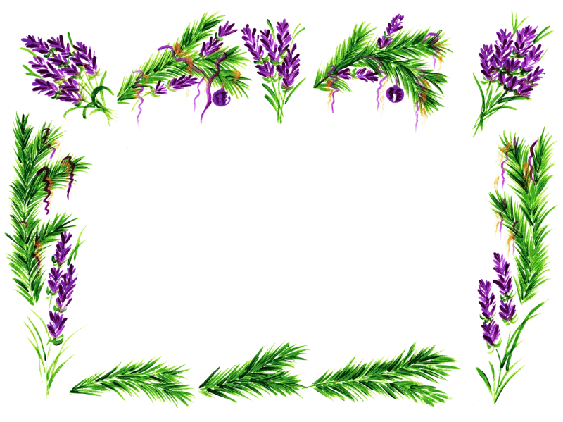 Lavender Spruce needles Flower wallpaper Stickdatei – Blumen