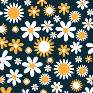 Flowers Beautiful flowers Flower background Stickdatei