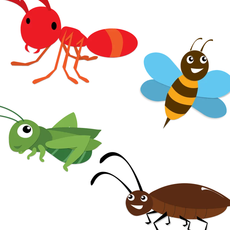 Insects Bugs Cartoon Stickdatei – Tiere