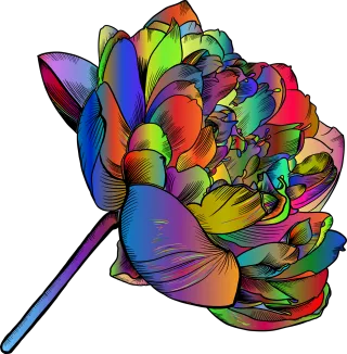 Flower Flower wallpaper Plant Stickdatei