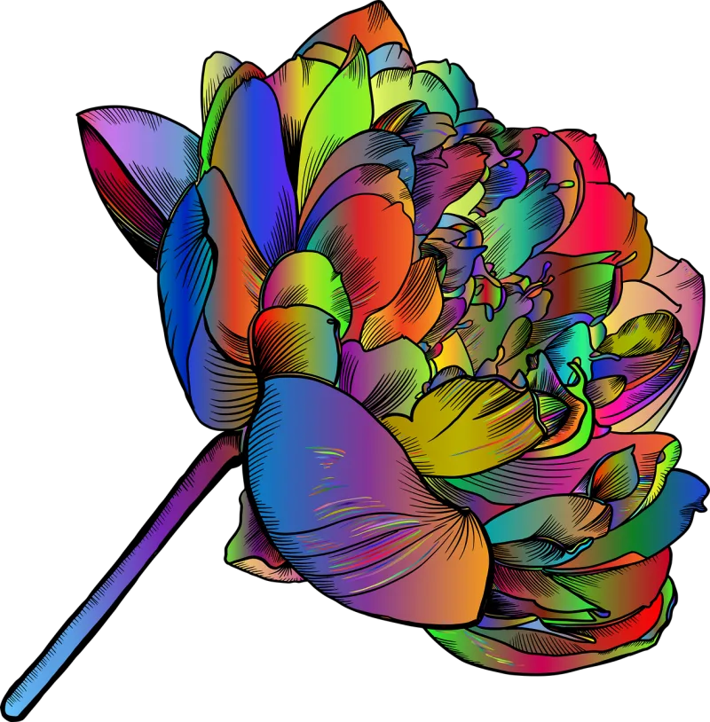 Flower Flower wallpaper Plant Stickdatei – Blumen