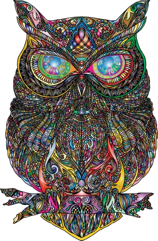 Owl Zentangle Nature Stickdatei