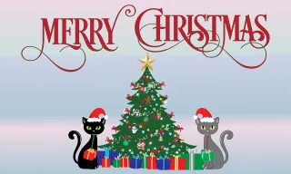 Christmas Cats Presents Stickdatei