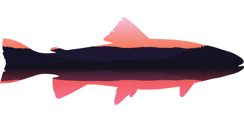 Trout Fish Lake Stickdatei – Natur