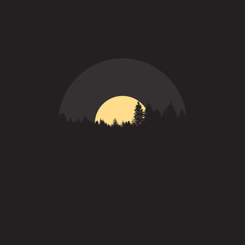 Moon Night sky Forest Stickdatei – Natur