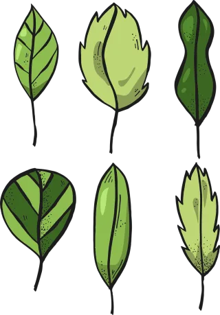 Leaves Foliage Tree Stickdatei