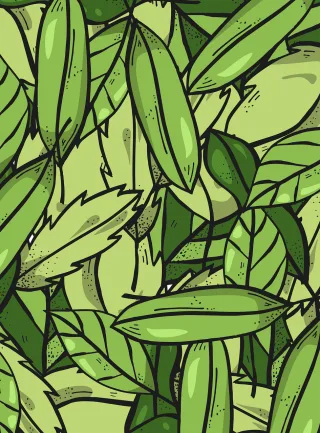 Leaves Foliage Tree Stickdatei
