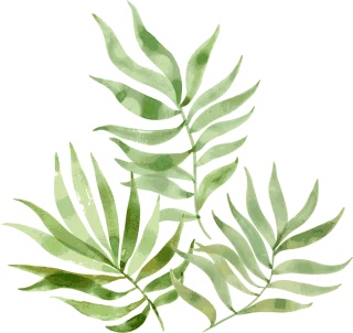 Leaf Plant Palm Stickdatei