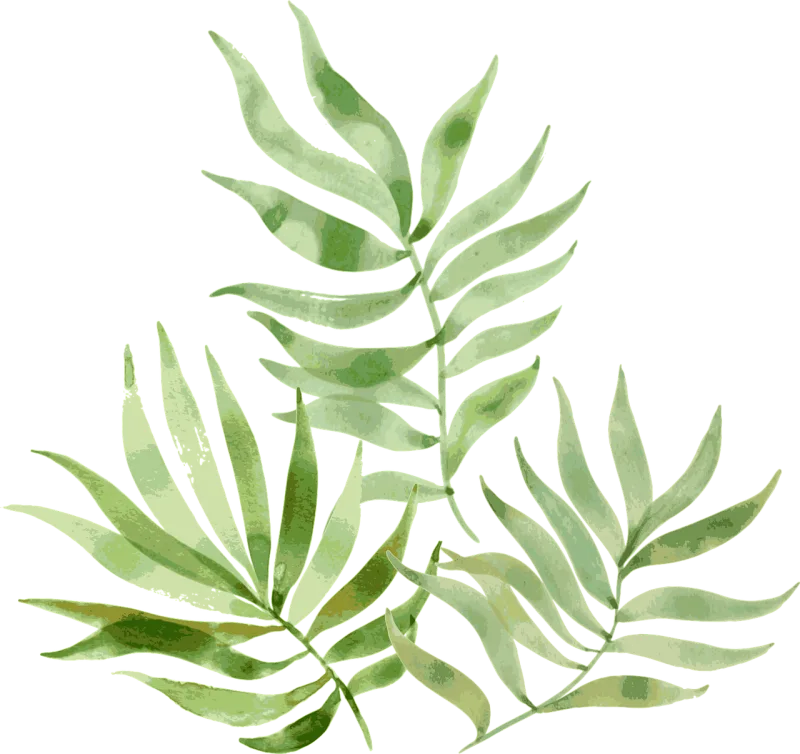 Leaf Plant Palm Stickdatei – Natur