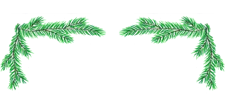Pine needles Frame Copy space Stickdatei
