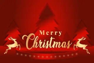 Merry Christmas Holiday Stickdatei