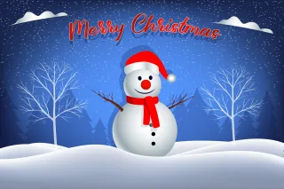 Snowman Winter Christmas Stickdatei