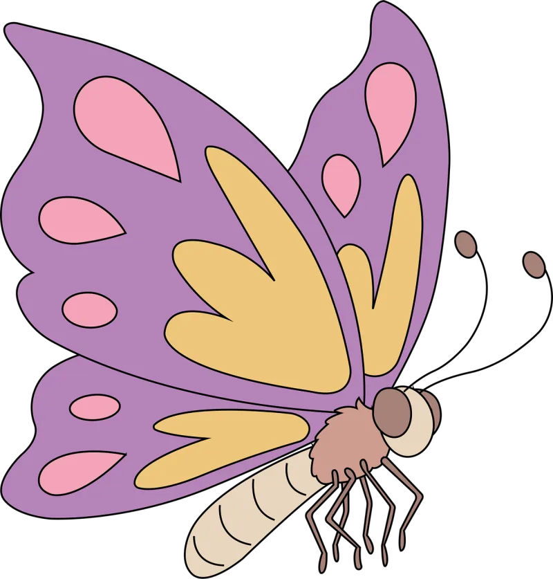 Insect Butterfly Entomology Stickdatei – Tiere