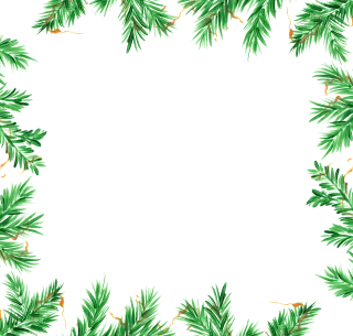 Needles Conifer Tree Stickdatei