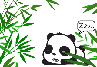 Panda Bamboo Bear Stickdatei