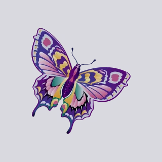 Butterfly Insect Bug Stickdatei