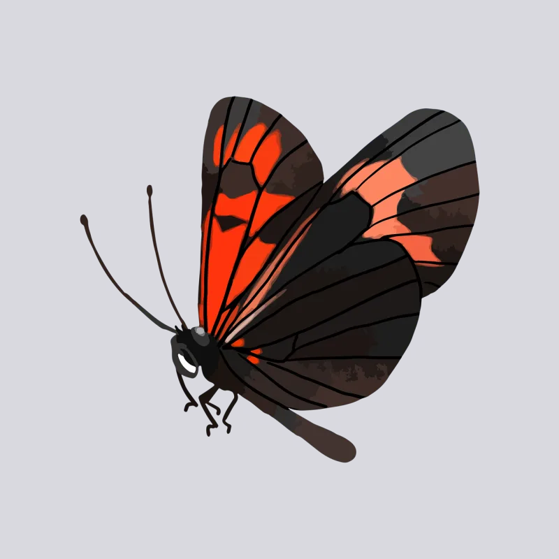 Insect Butterfly Entomology Stickdatei – Tiere