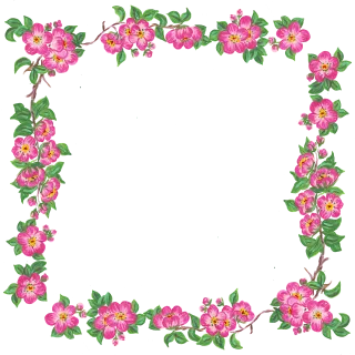 Flowers Nature Cherry blossoms Stickdatei