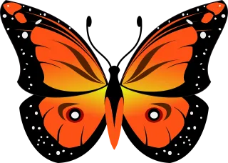 Butterfly Insect Fly Stickdatei