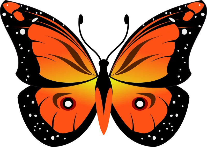 Butterfly Insect Fly Stickdatei – Tiere