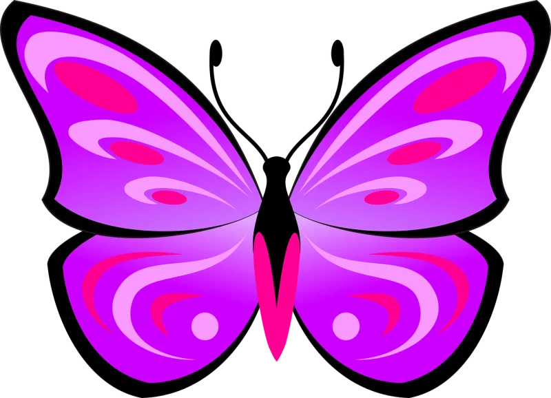 Fly Beautiful flowers Wings Stickdatei – Blumen