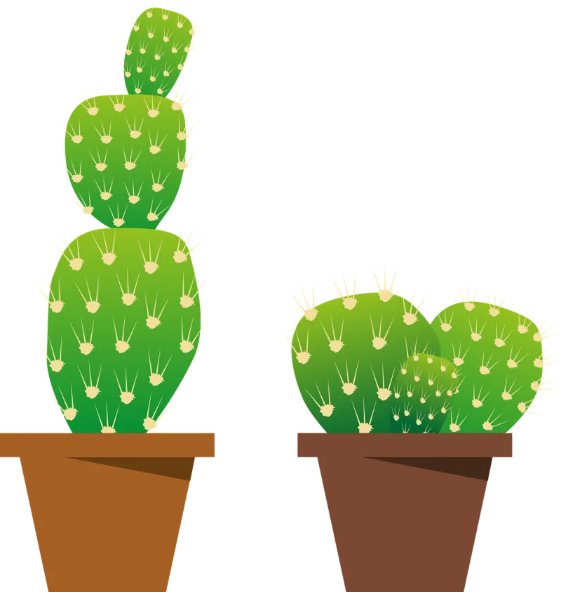 Plants Cactus Nature Stickdatei – Natur