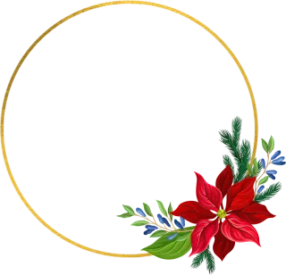 Christmas Pointettia Flower Stickdatei