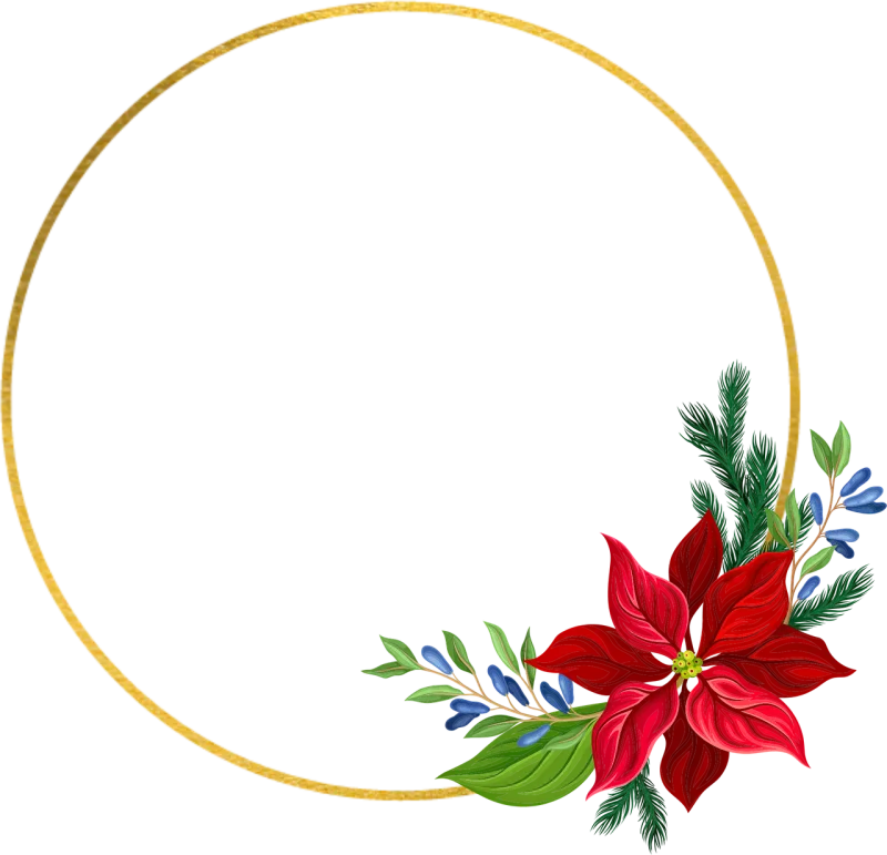 Christmas Pointettia Flower Stickdatei – Blumen