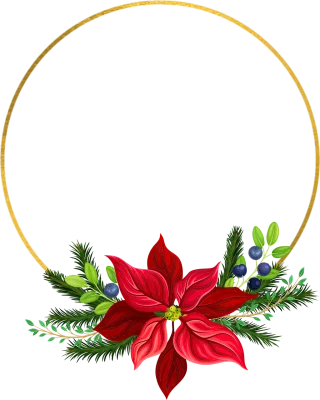Christmas Pointettia Flower Stickdatei – Blumen