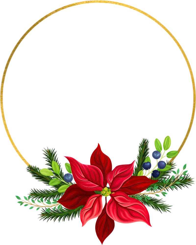 Christmas Pointettia Flower Stickdatei – Blumen