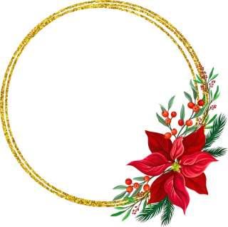 Christmas Pointettia Flower Stickdatei – Blumen