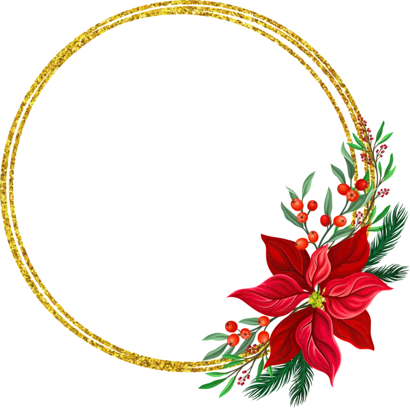 Christmas Pointettia Flower Stickdatei – Blumen