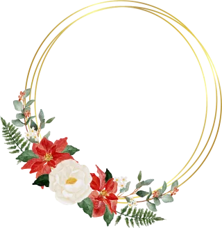 Christmas Pointettia Flower Stickdatei – Blumen