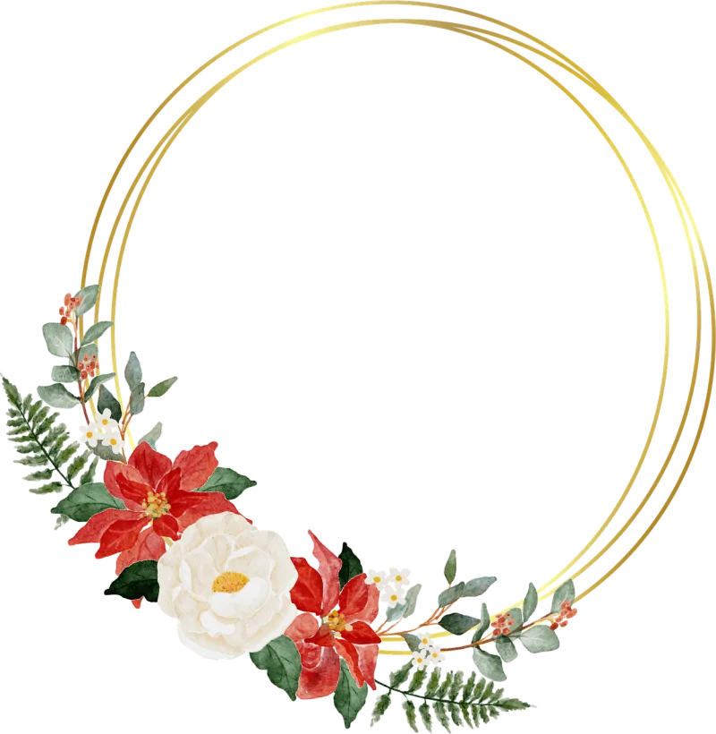 Christmas Pointettia Flower Stickdatei – Blumen