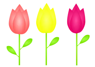 Tulips Tulip To flourish Stickdatei