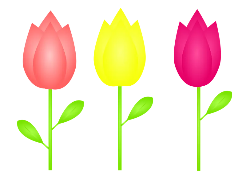 Tulips Tulip To flourish Stickdatei – Blumen